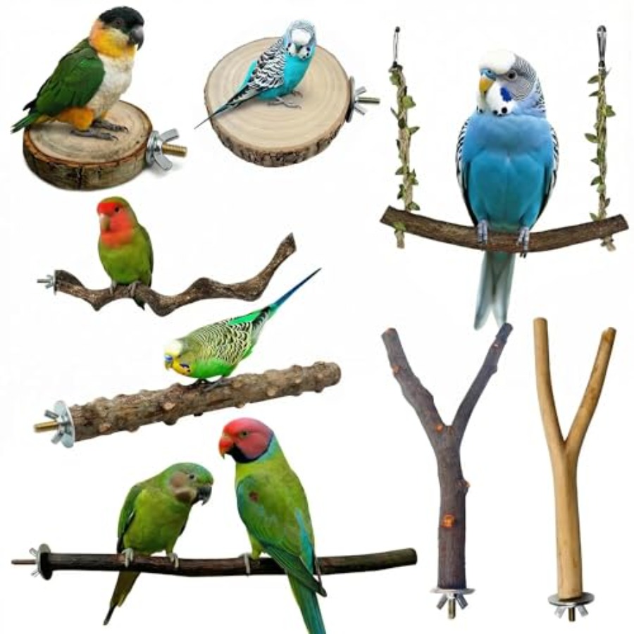Health & Wellness Là Gì - 8 perchoirs en bois naturel pour