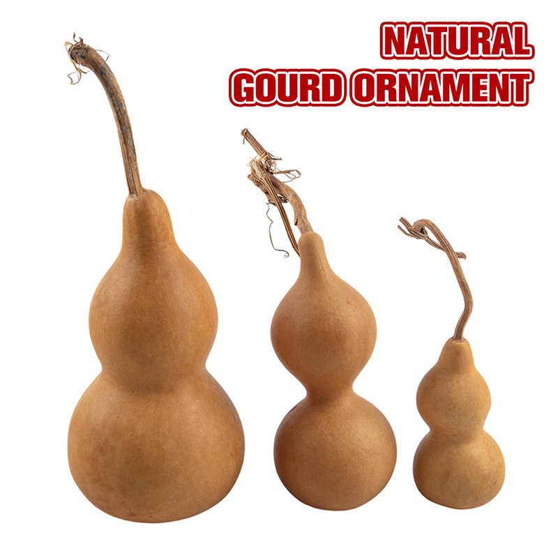 Ornements artisanaux en gourde - Longevity Health & Wellness Hotel Adults Only avis et prix