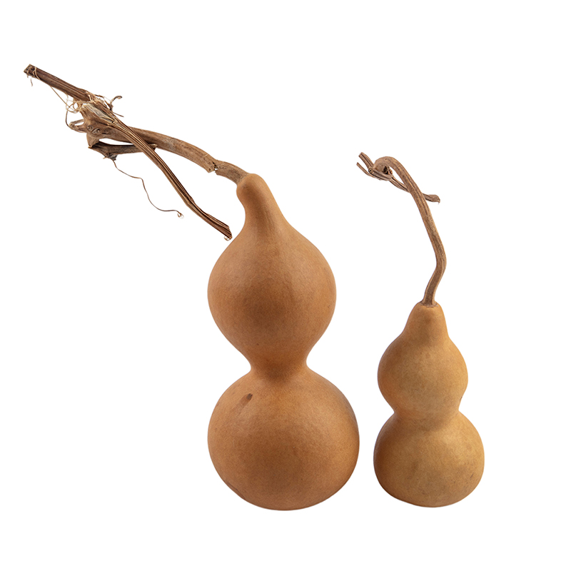 Ornements artisanaux en gourde - Longevity Health & Wellness Hotel Adults Only avis et prix