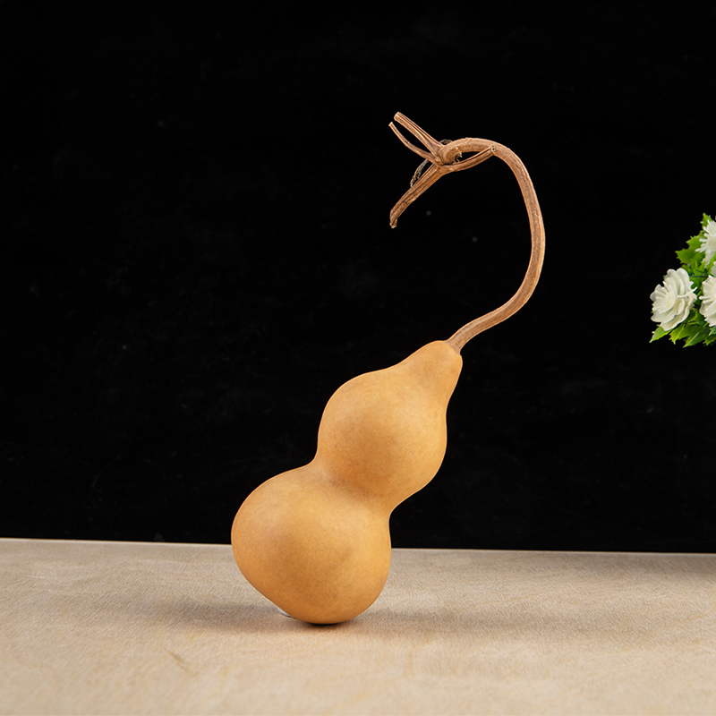 Ornements artisanaux en gourde - Longevity Health & Wellness Hotel Adults Only avis et prix